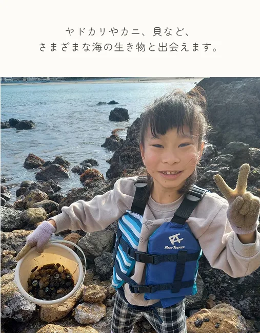 ヤドカリやカニ、貝など、さまざまな海の生き物と出会えます。