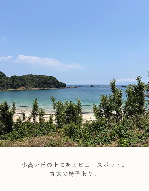 小高い丘の上にあるビュースポット。丸太の椅子あり。